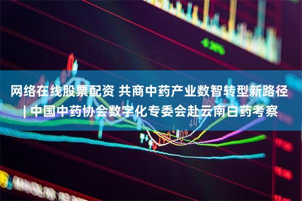 网络在线股票配资 共商中药产业数智转型新路径 | 中国中药协会数字化专委会赴云南白药考察
